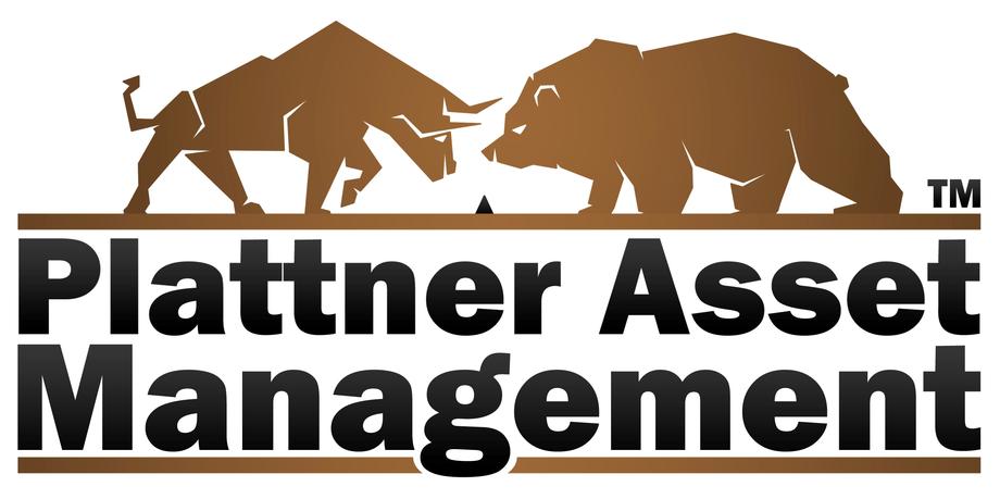 Plattner Asset Management
